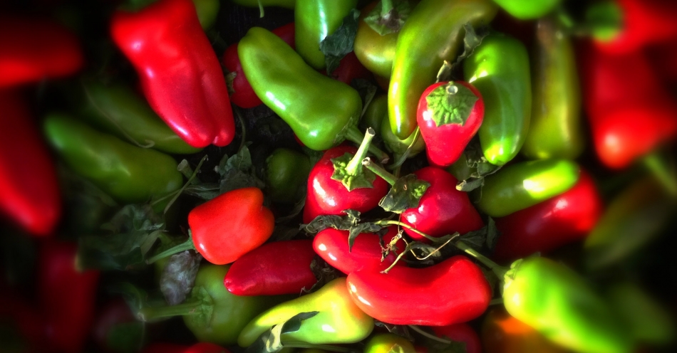 Chilies ©Mike Sweeney/2013