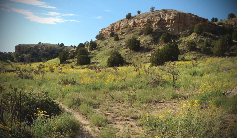 Skull_Canyon_August_green