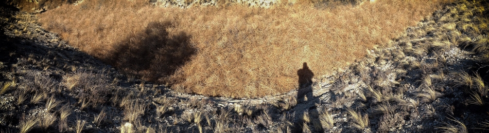 An arroyo choked with a 50-foot swath of tumbleweeds along one of Lake Pueblo State Park's Redgate Trails. Photo by Mike Sweeney/©2014