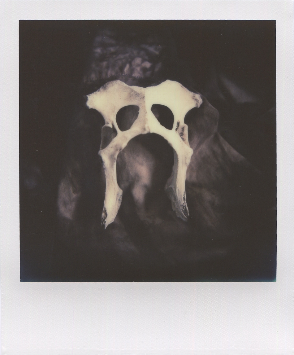 Pelvis shot with Polaroid SX70 using Impossible SX70 color film. Photo by Mike Sweeney/©2014